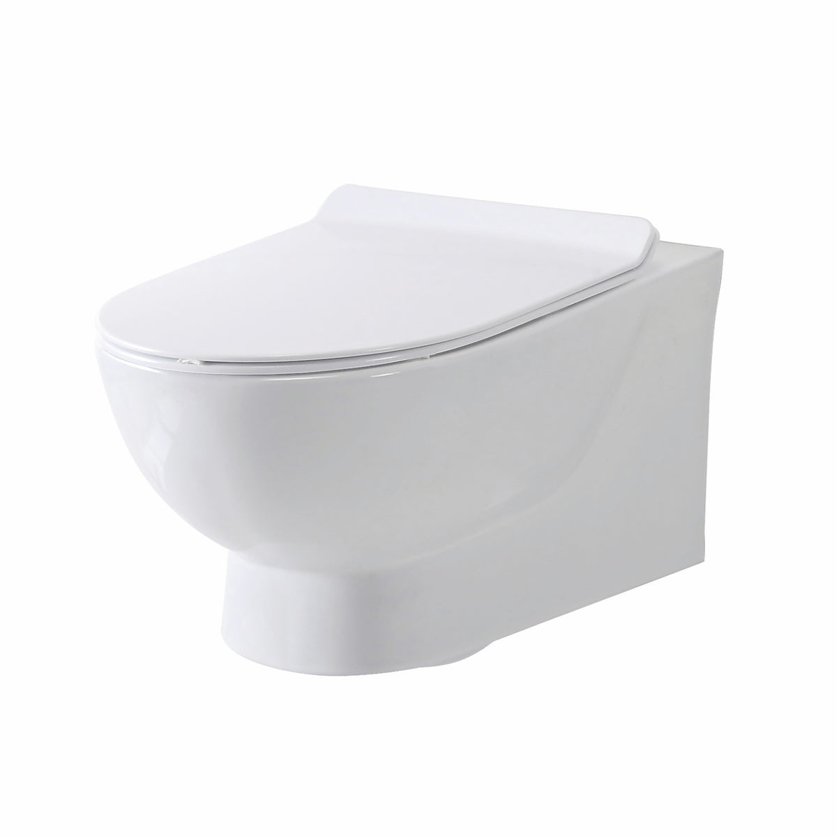 Rimless Wall hung Pan