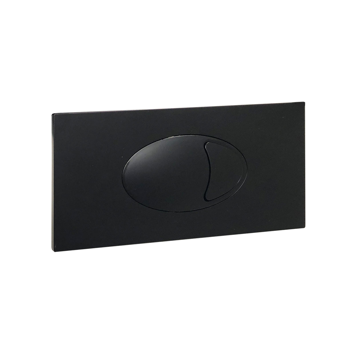 Large Black Dual Flush Plate & Access Panel 240 x 120mm