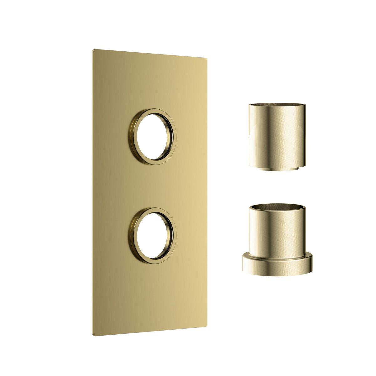 Concealed Plate Br Brass (1 outlet)