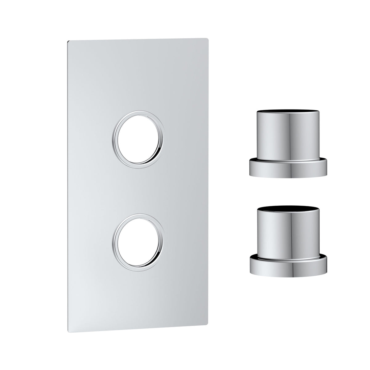 Concealed Plate 2 Outlets Chrome