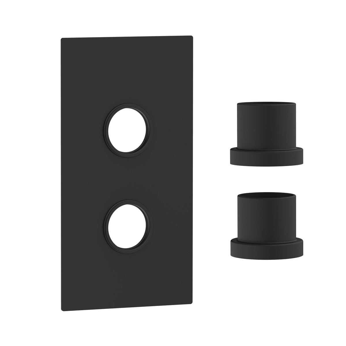 Concealed Plate 2 Outlets Black
