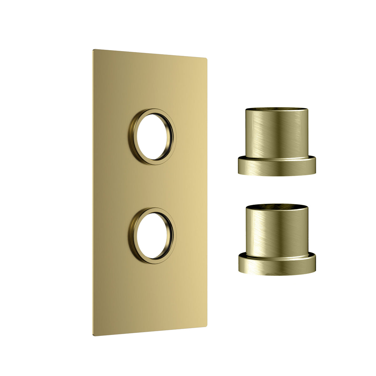 Concealed Plate 2 Outlets Br Brass