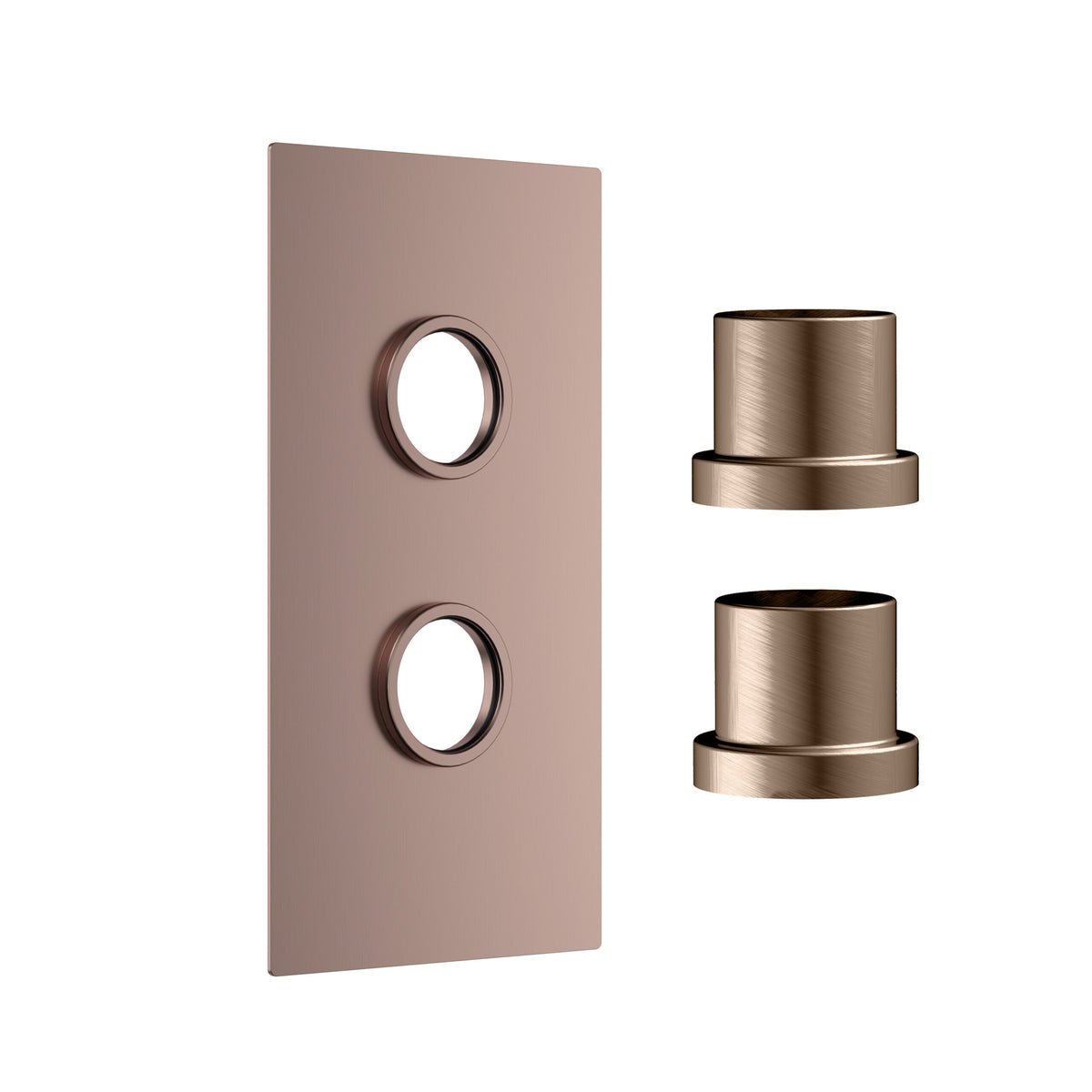 Concealed Plate 2 Outlets Br Bronze