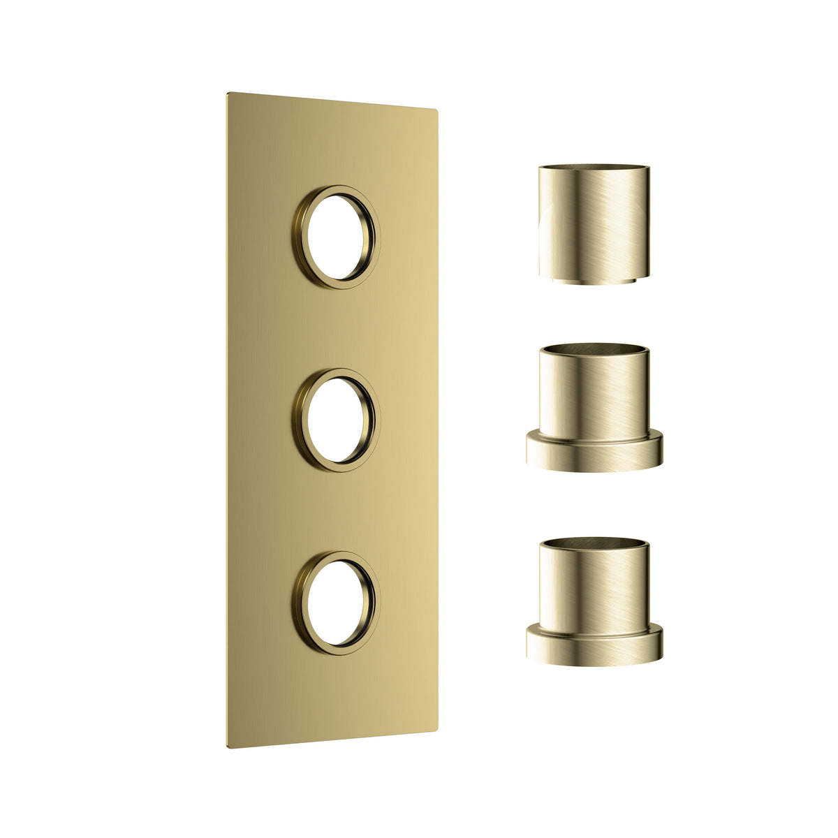 Concealed Plate (3 outlets) Br Brass