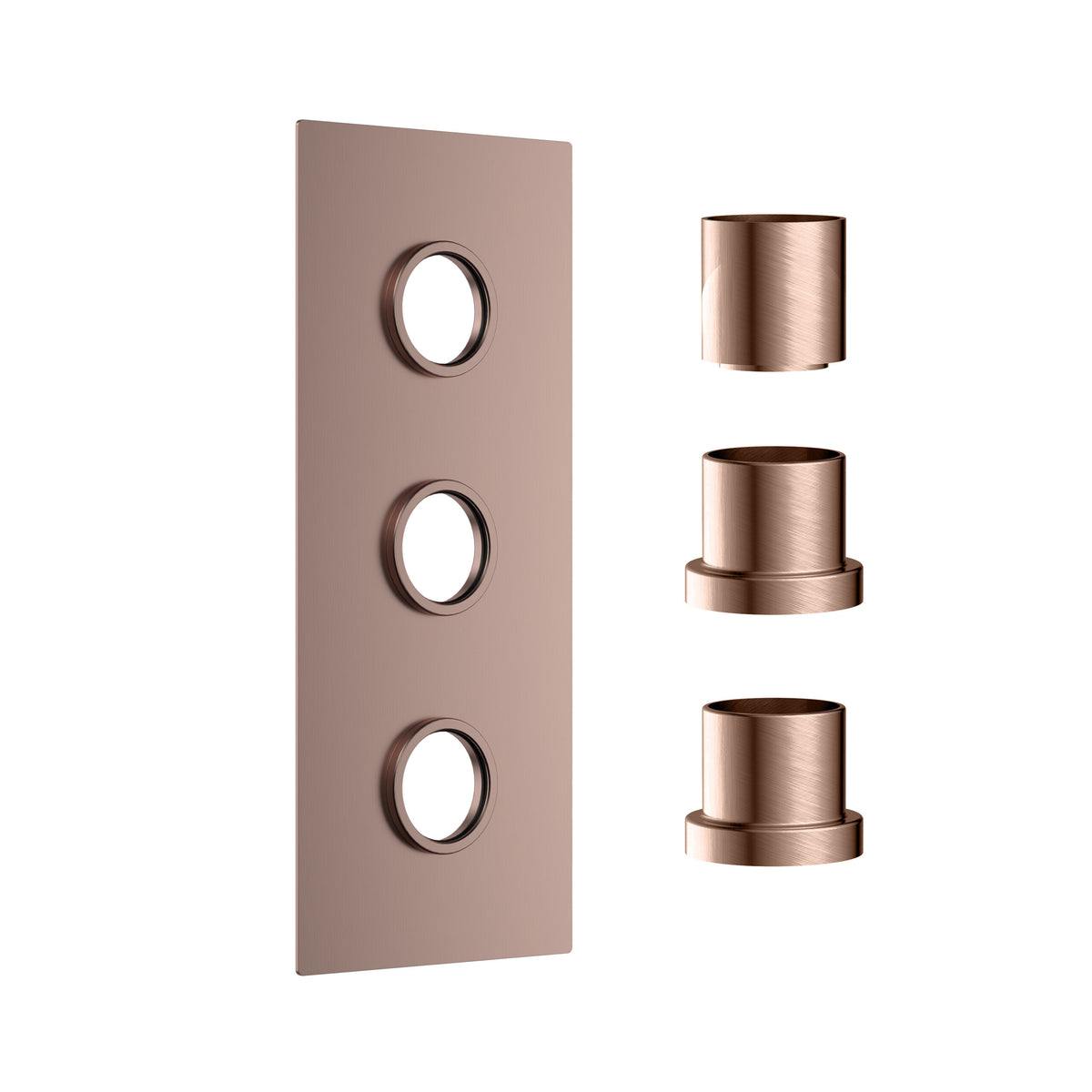 Concealed Plate (3 outlets) Br Bronze