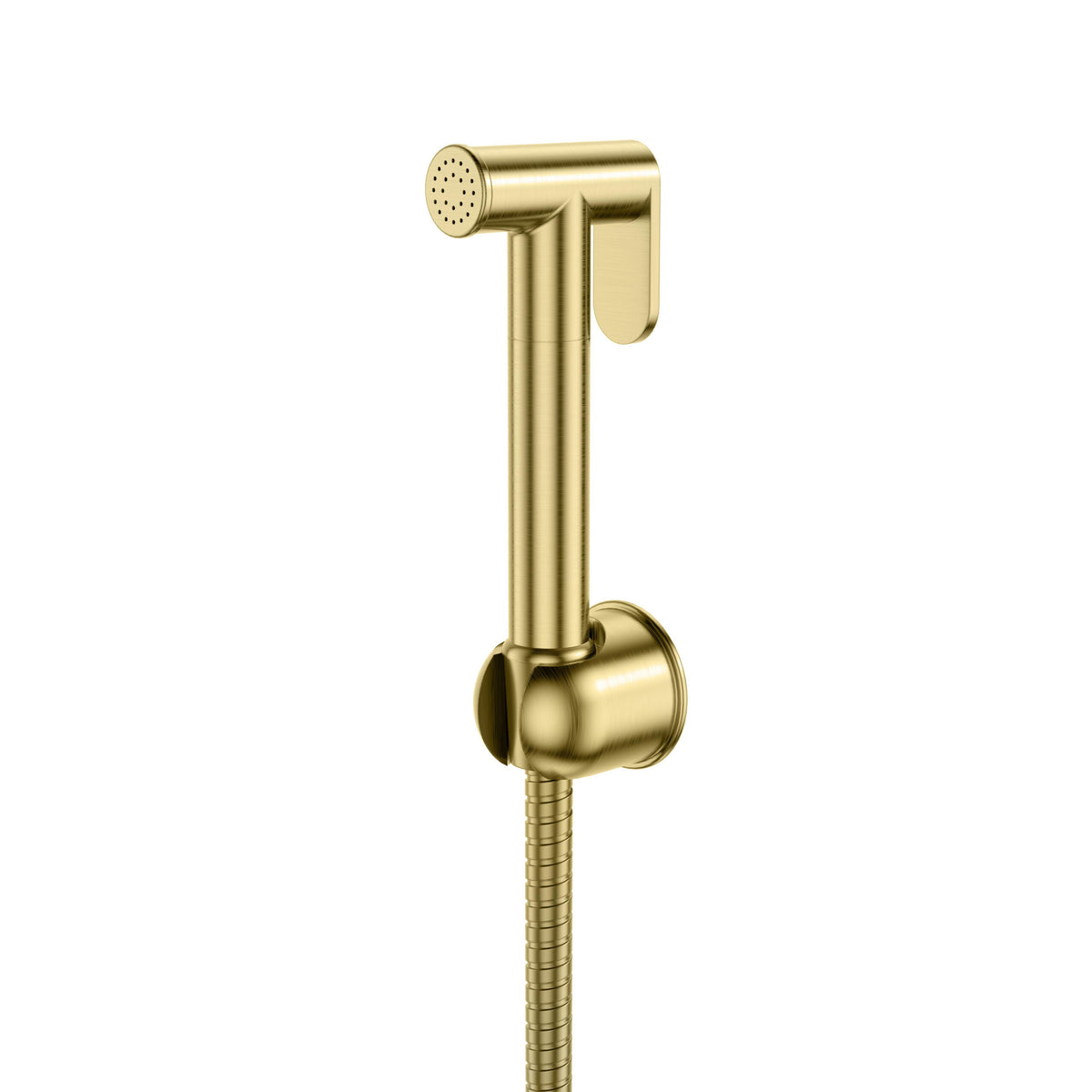 Douche Handset, Flexi, Holder Brushed Brass